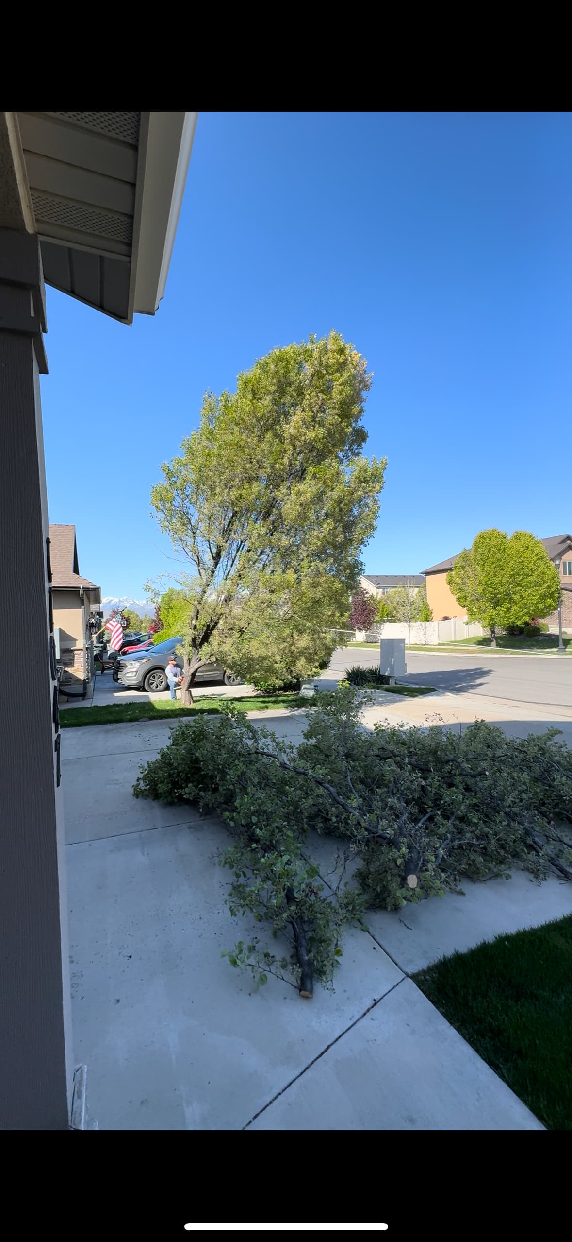 Storm Cleanup — Draper